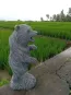 morepic-3